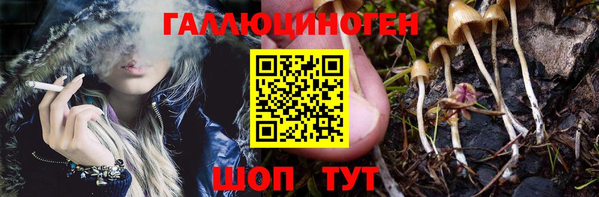 Псилоцибиновые грибы Magic Shrooms Партизанск