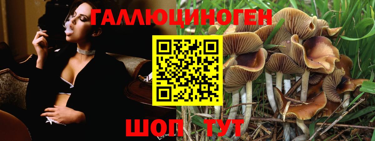Галлюциногенные грибы MAGIC MUSHROOMS  Вход с VPN  Партизанск 